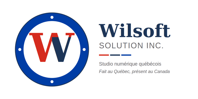 Wilsoft Solution